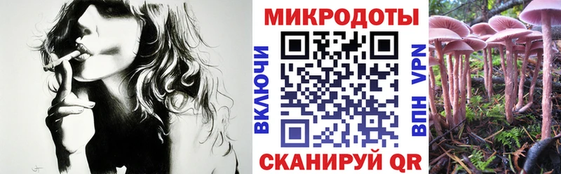 Псилоцибиновые грибы Cubensis Татарск